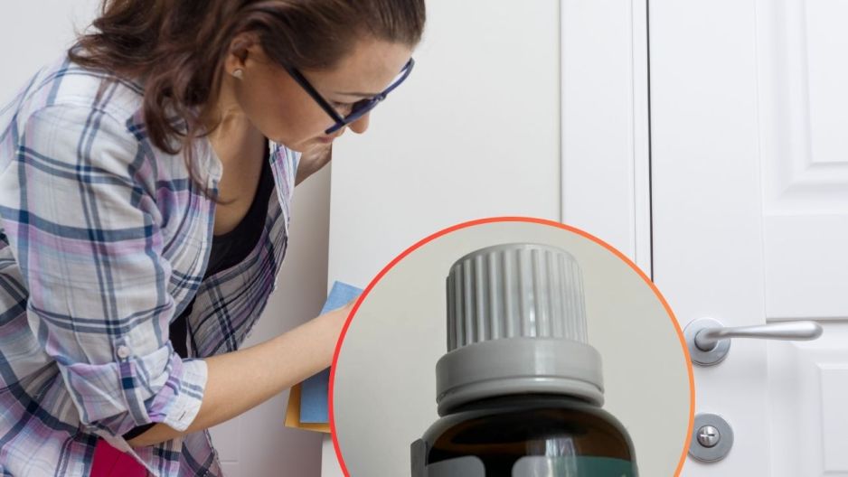 kurz na ścianach trik