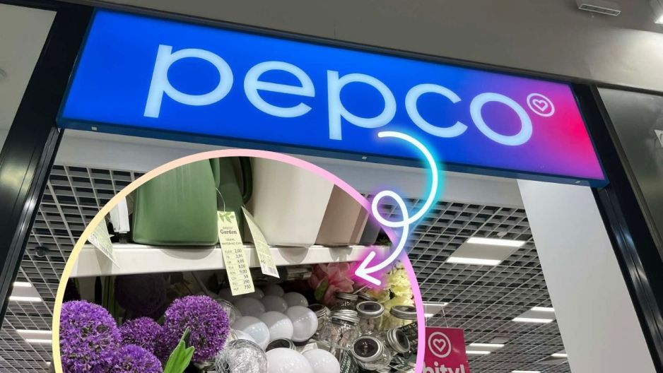 lampa solarna czosnek Pepco