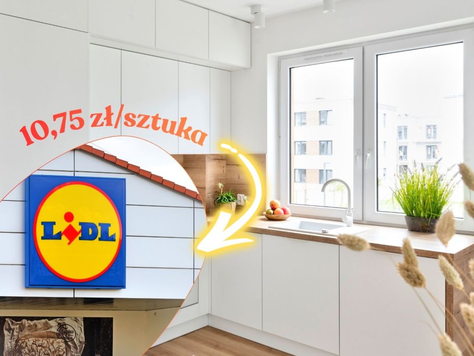 organizery Lidl