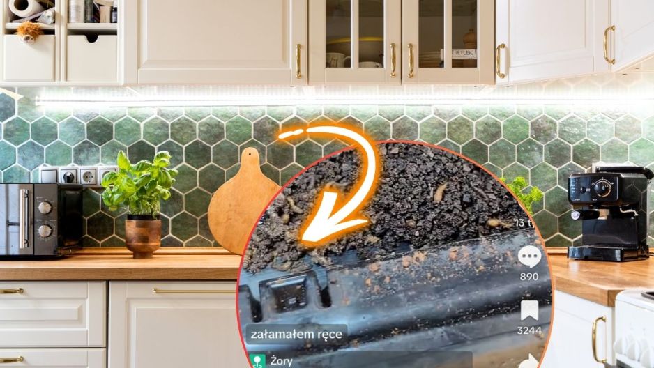 czyszczenie kuchni ekspres do kawy