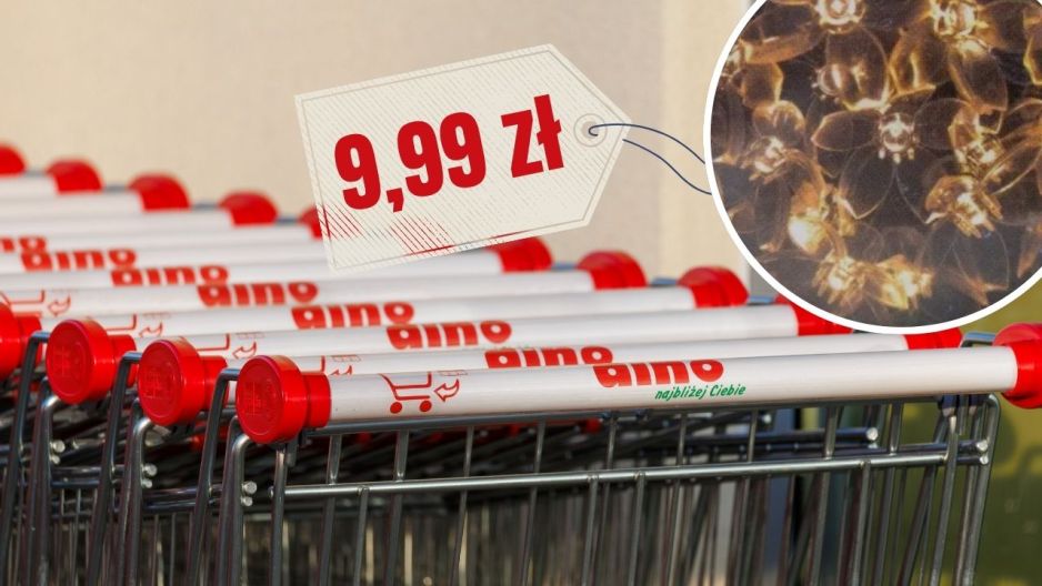 Girlanda Dino