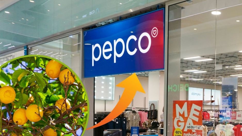Poduszki z Pepco