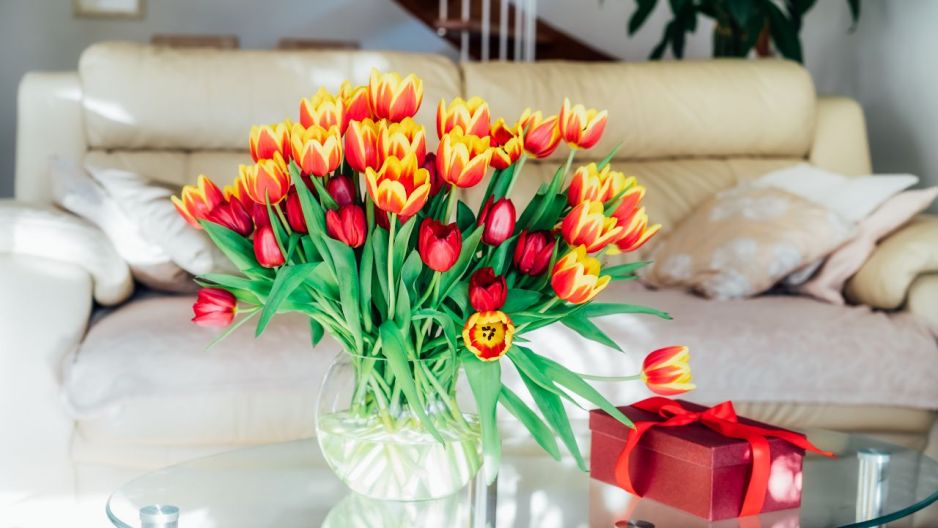 tulipany cięte w wazonie