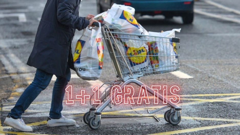 Promocja w Lidlu
