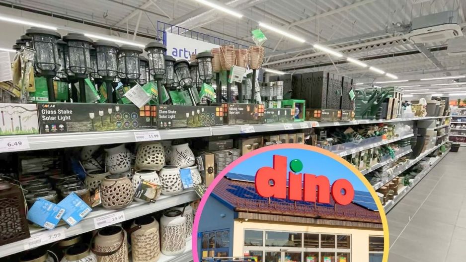 Dino Action doniczki