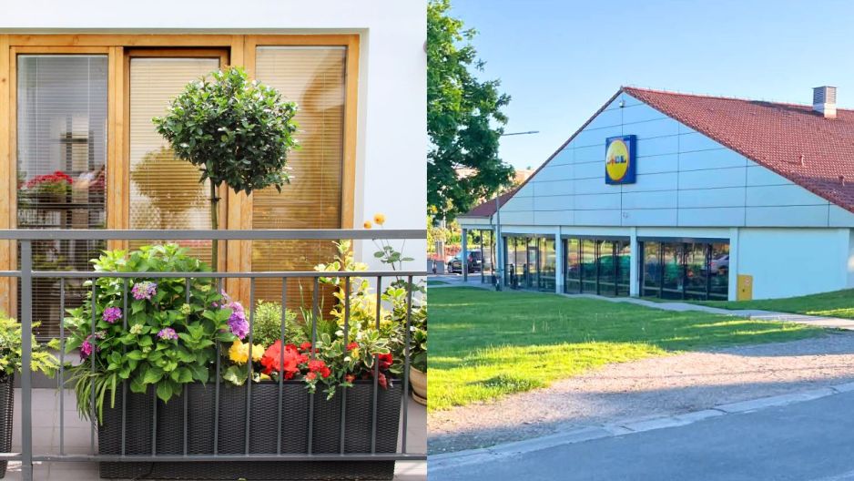 Lidl żagiel na balkon