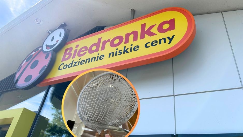 Biedronka wentylator