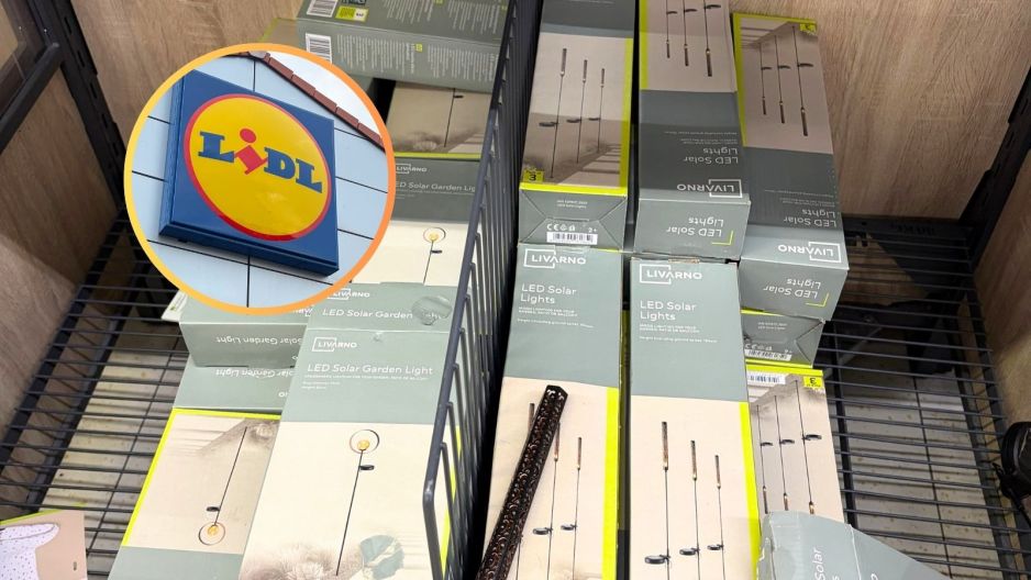 Lidl solar