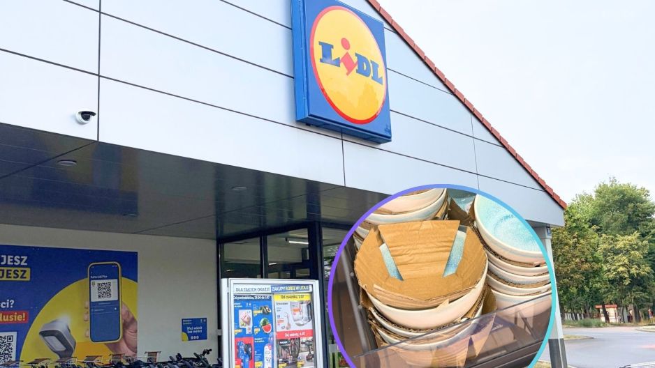 Lidl zastawa