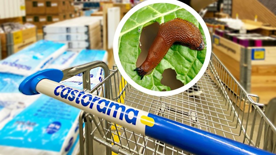 castorama