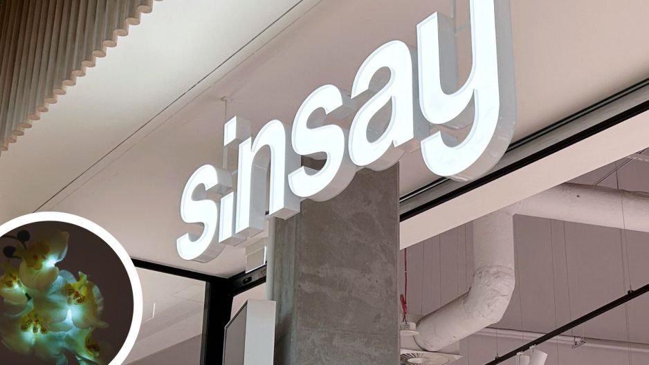 sinsay