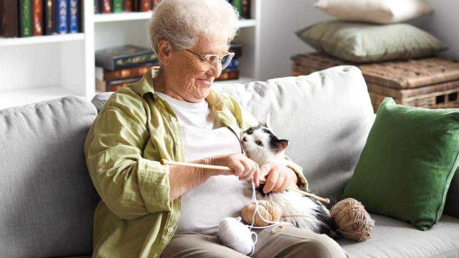 seniorka