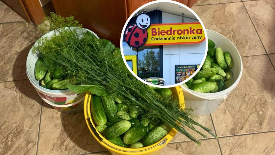 biedronka słoik na ogórki kiszone