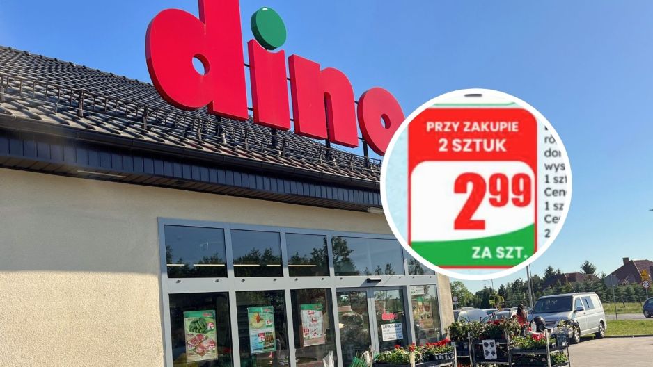 dino rośliny
