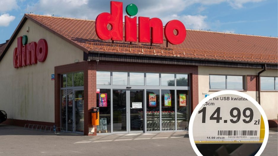 dino