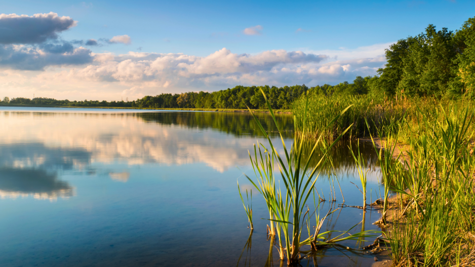 Przejrzysta woda, 300 metrów plaży i strefa ciszy. Mało kto zna to jezioro w lubuskim
