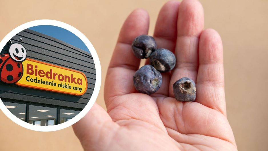 biedronka