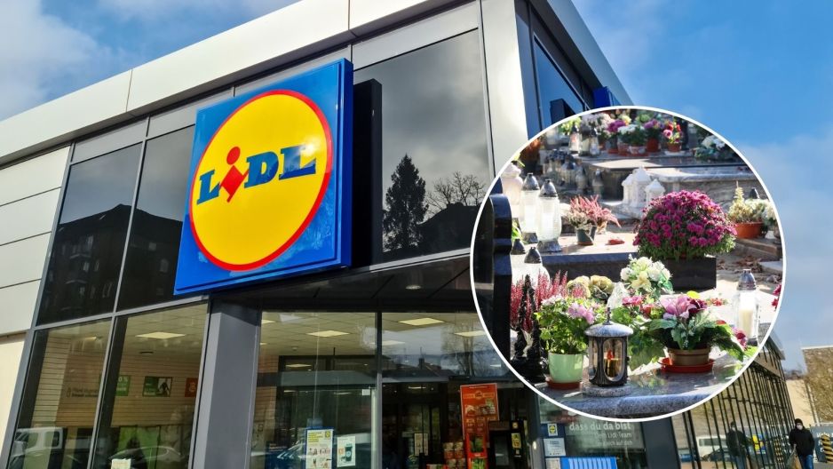 Kwiaty na Wszystkich Świętych z Lidla