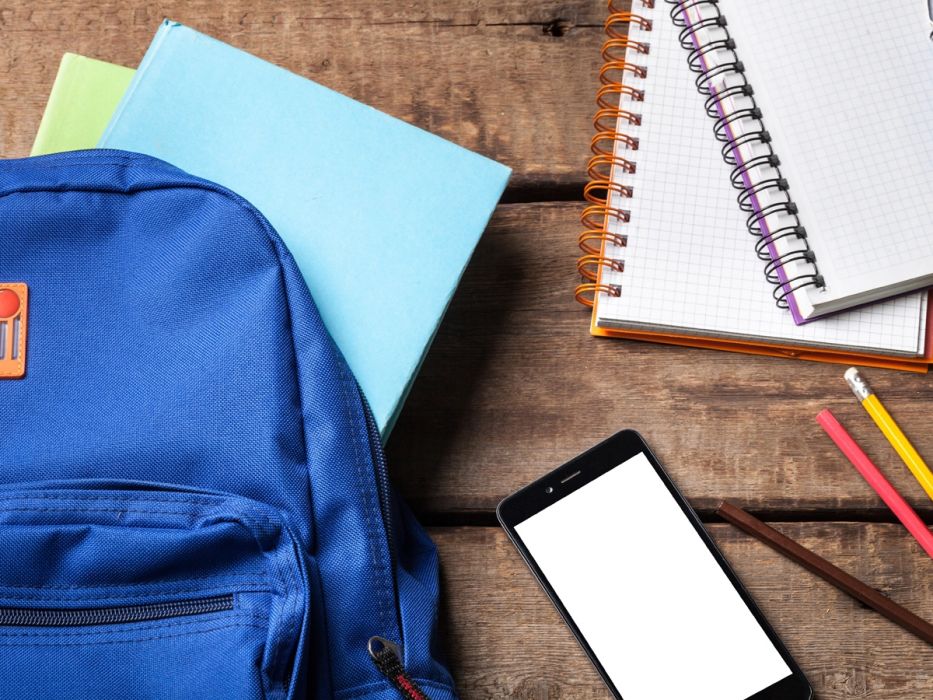 Ile pamiętasz ze szkoły podstawowej? Nawet szóstoklasista zdobywa komplet punktów [QUIZ]