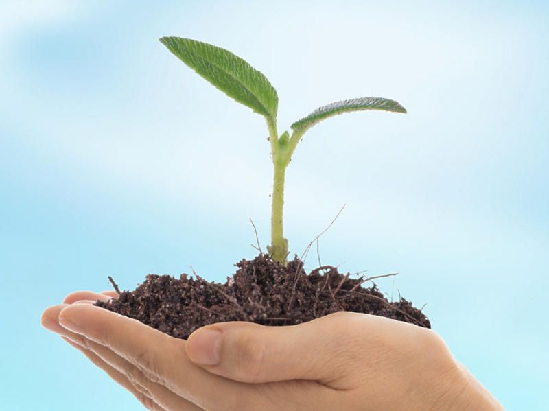 Jak bardzo jesteś zero waste? Pytanie czwarte rozwieje wątpliwości w tym temacie [PSYCHOTEST]