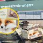 lidl poszewki