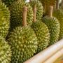 durian