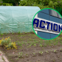 Action