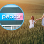 Sukienki Pepco
