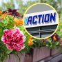 action