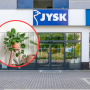 Nawadniacz do kwiatów z Jysk