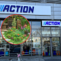 Action