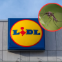 Moskitiera Lidl