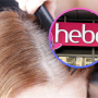 Hebe