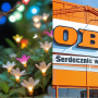 Obi