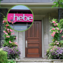 hebe