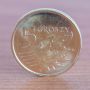 5 groszy