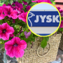 jysk doniczki