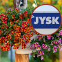 jysk