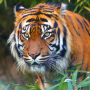 zoo wrocław