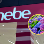 hebe