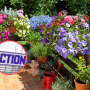 Action