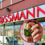 rossmann