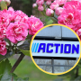 Action