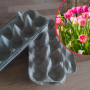 tulipany