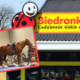 biedronka