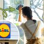 Myjka do szyb Lidl