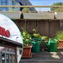 balkon, Dino