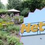 ogród, netto