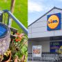 lampa solarna efekt płomienia Lidl