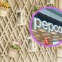 lampion pepco